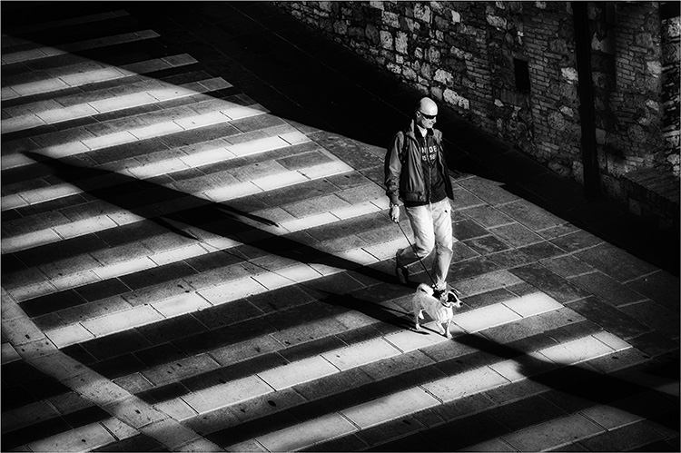 Shadows and Stripes