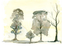TREES