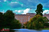Buckingham Palace