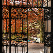 AUTUMN