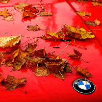 AUTUMN
