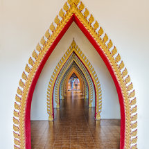 TUNNEL OF LOVE