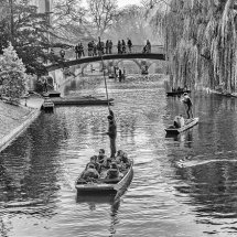 WINTER ON THE CAM