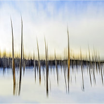 YELLOWSTONE IN WINTER