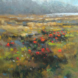 "Atlantic Poppies" - 2017