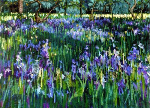 "Bluebell Glade, Botanic Gardens" (detail)
