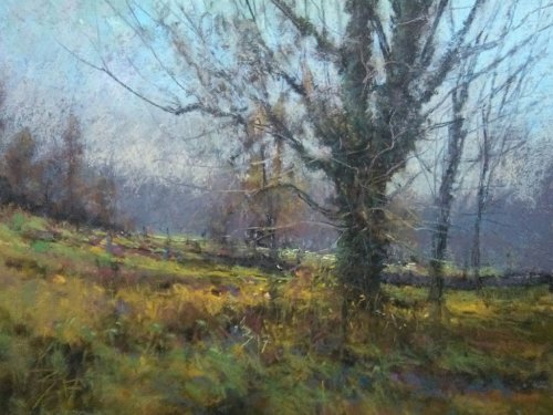 "Cool Morning" - Winter Series - 2017