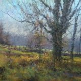 "Cool Morning" - Winter Series - 2017
