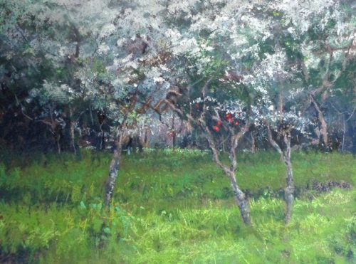 "May Blossoms" - 2015