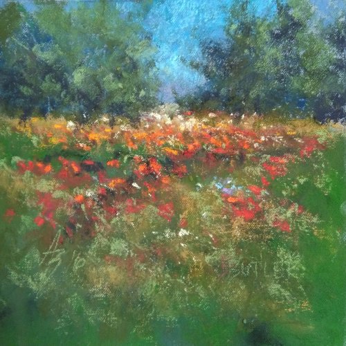 "Poppy Glade" - 2016