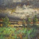 "Slieve Bloom Storm" - 2012