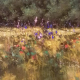 "Summer Glade" - 2017