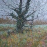 "Winter Tree" - 2017