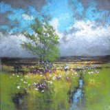 Bogland Edge - 2015