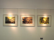 Block F - Toradh Gallery Exhibition