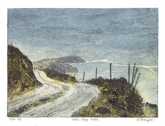 Bolus Loop Walk print