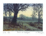 Dusk at Dalgan