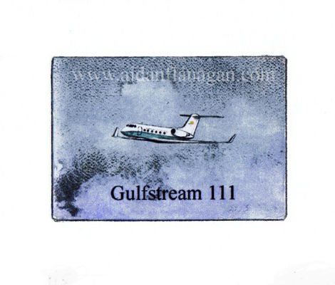 Gulfstream 111