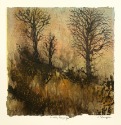 Misty Bogscape Misty Bogscape 1 print