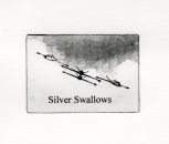 Silver Swallows