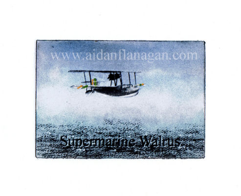 Supermarine Walrus