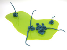 British Ceramics Biennial Award 2013