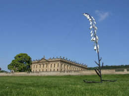 RHS Chatsworth Flower Show 2018