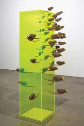 Confines and Mutations 