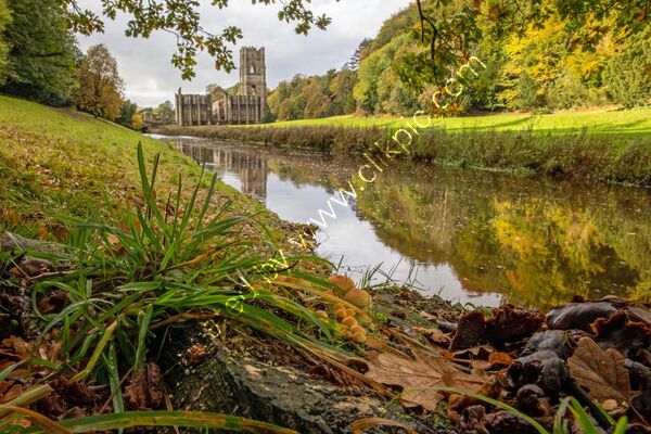 2nd Place - Fountains Abbey, Ripon By Peter Evens