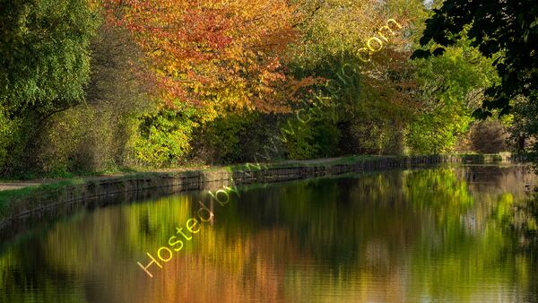 Joint 1st place - Subject - TREE(S) - Autumn Reflections - By Tony Collinson
