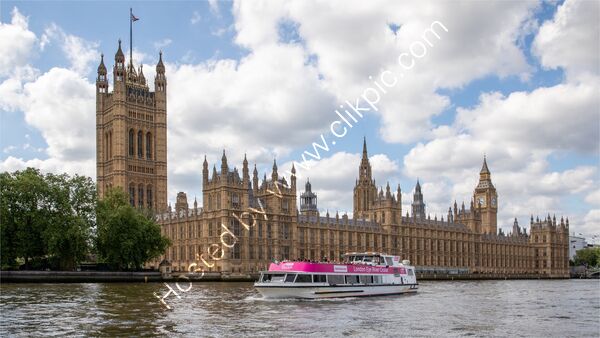 Commended - House of Parliament, Palace of Westminster By Peter Evans
