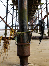 Commended - PDI - Heavy Metal 2 By Chris Owens