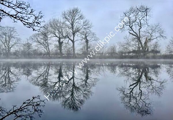 Joint 2nd place - Subject - TREE(S) - Wharfe & Wood - By Christine Asher