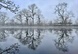 Joint 2nd place - Subject - TREE(S) - Wharfe & Wood - By Christine Asher