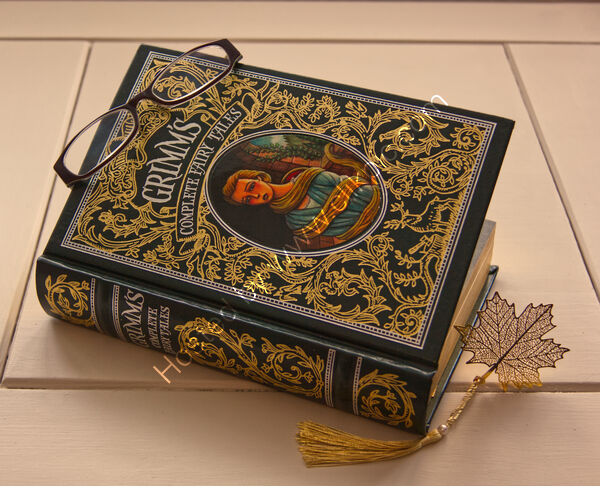 1st Place - PRINT 2  - Book of Choice By Sue Mitchell