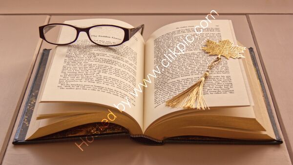 1st Place - PRINT 3  -The Golden Goose By Sue Mitchell