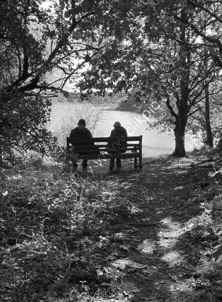 3rd Place - Contemplating the world By Sheena Renton