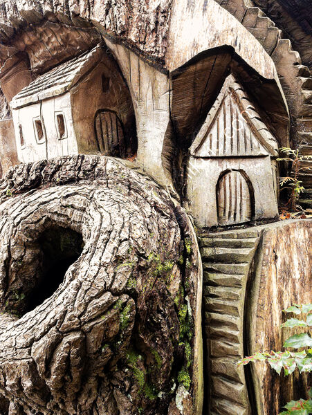 Joint 4th place - Subject - TREE(S) - Tree Sculpture - By Derek Middleton