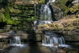Water 4th Place with Scaleber Force Water Fall, Settle By Peter Evens