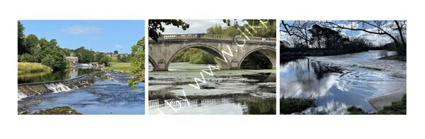 Highly Commended - River Wanderer By Sheena Renton