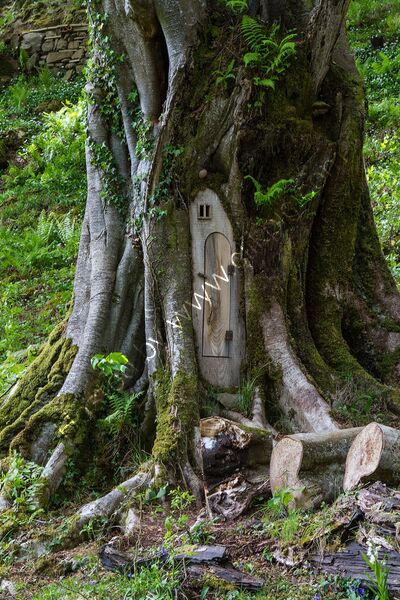 Joint 5th place - Subject - TREE(S) - Tree House - By Chris Owens