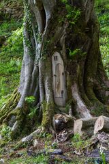 Joint 5th place - Subject - TREE(S) - Tree House - By Chris Owens