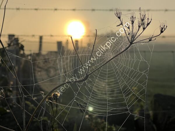 3rd Place - PDI - 1 Arachne v Athena By Christine Asher