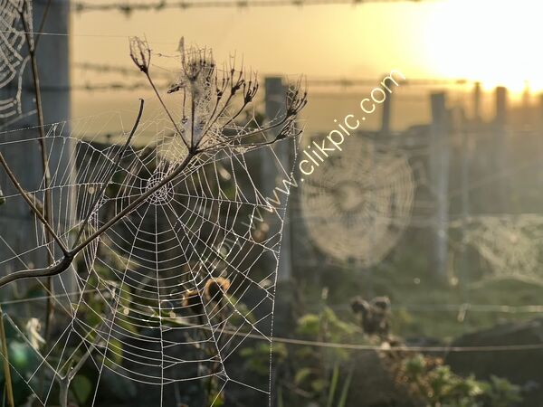 3rd Place - PDI - 3 Networking By Christine Asher