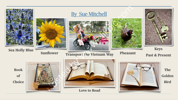 Summer Challenge Collection By Sue Mitchell