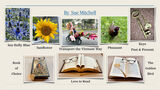 Summer Challenge Collection By Sue Mitchell