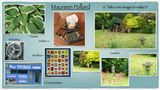 Summer Challenge Collection By Maureen Pollard