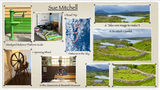 Summer Challenge Collection By Sue Mitchell