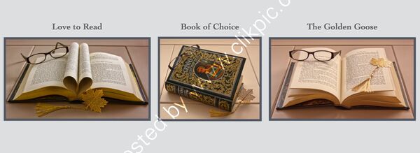 1st Place - PRINT - Love to Read By Sue Mitchell