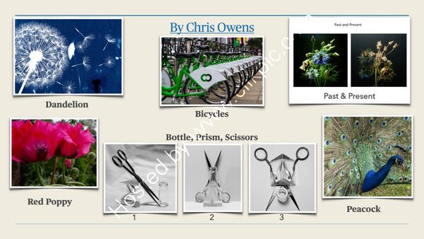 Summer Challenge Collection By Chris Owens